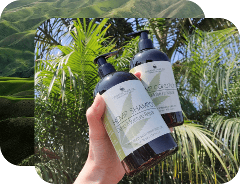 My Homepage - Organic Pure Oil